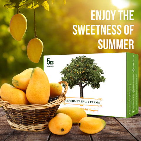 ALRehmat's Premium Saroli 5kg