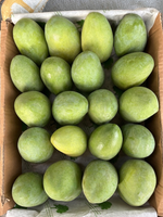 Al Rehmat's Premium Chaunsa Mangoes 5 Kg Box