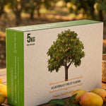 Al Rehmat's Premium Chaunsa Mangoes 5 Kg Box