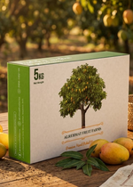 Al Rehmat's Premium Chaunsa Mangoes 5 Kg Box