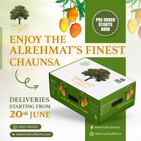 ALRehmat's Premium Chaunsa 5kg