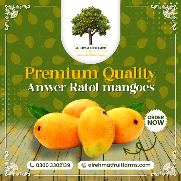 AL Rehmat's Premium Anwer Ratol 5kg