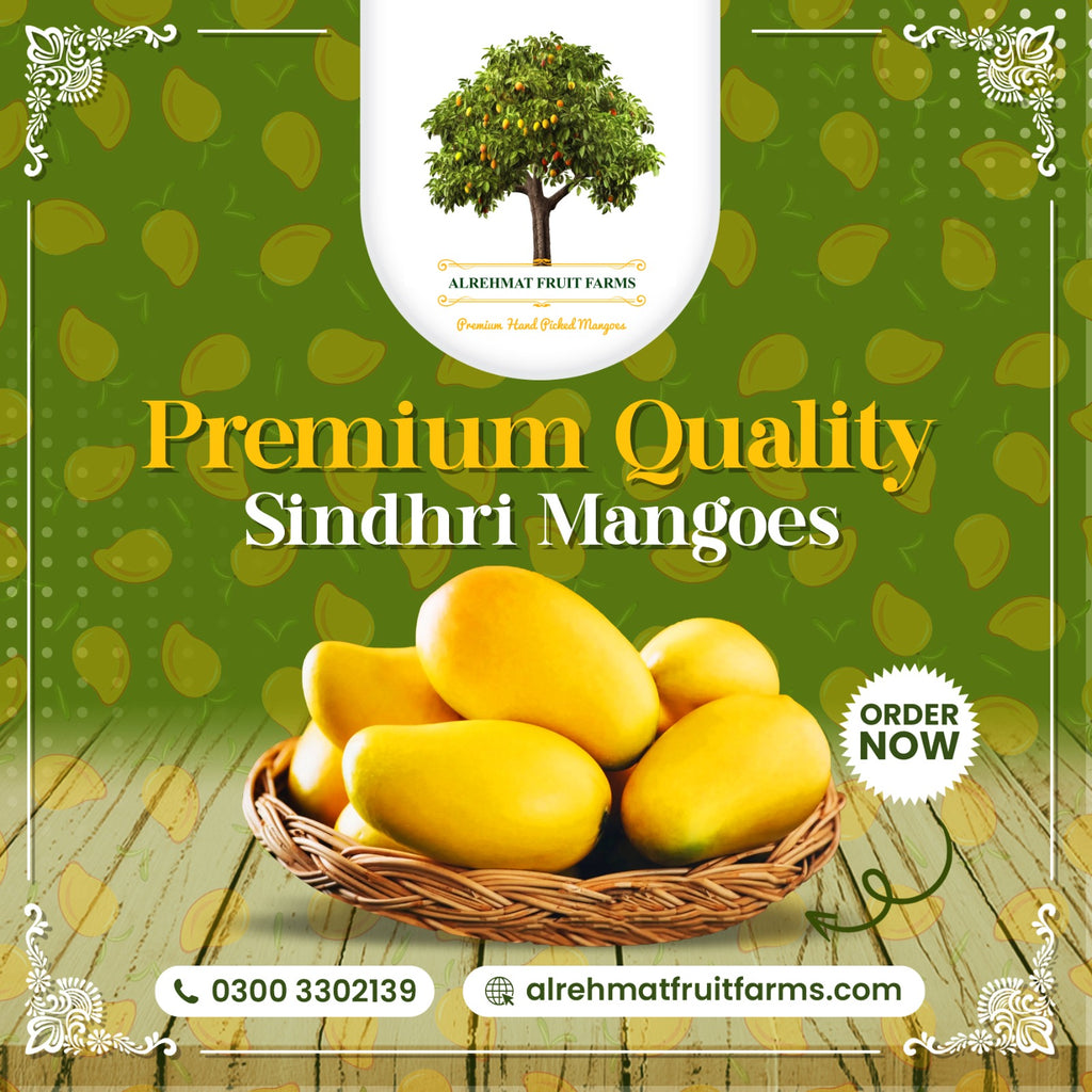 ALRehmat's Premium Sindhri 5kg