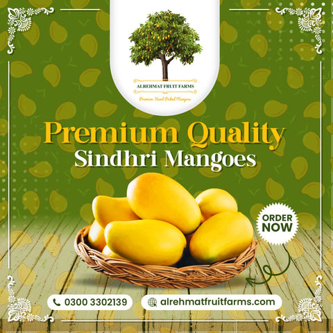 ALRehmat's Premium Sindhri 5kg