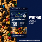 Al Rehmat Fresh Sweet and Salty snack mix 250g pouch salted peanuts raisins cocoa candies Pakistan