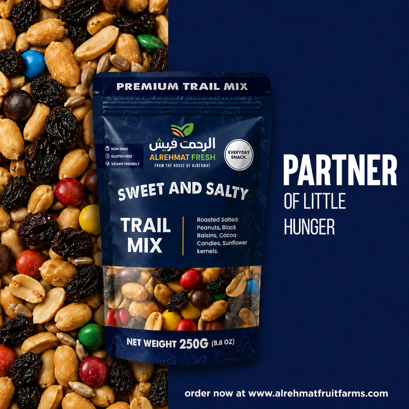 Al Rehmat Fresh Sweet and Salty snack mix 250g pouch salted peanuts raisins cocoa candies Pakistan