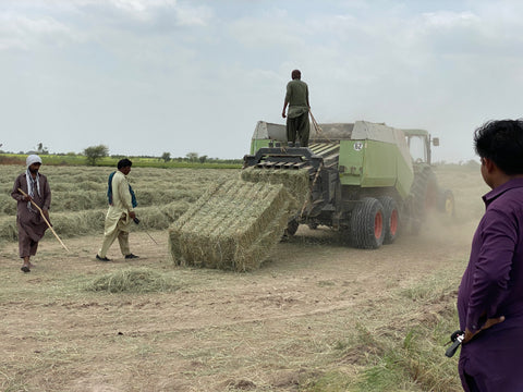 Farm workers baling hay in the fields