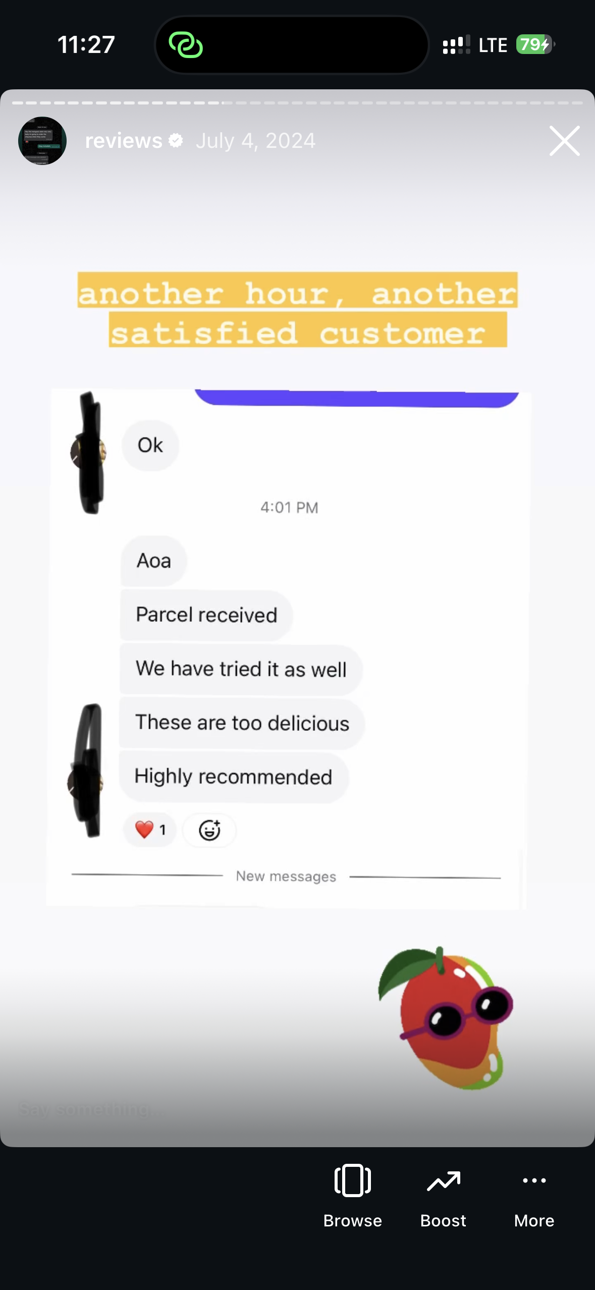 Customer review screenshot 16