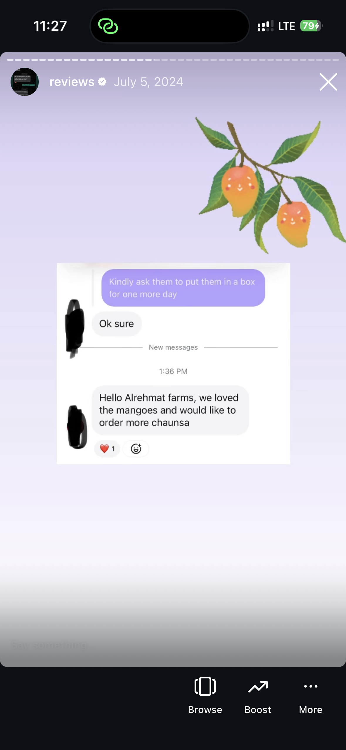 Customer review screenshot 19